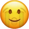 Twitter  11