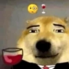 💥💯Random Shitpost 💥 15