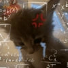 Kucing 8
