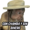 CON CHAMBAY SIN DINERO