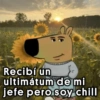 Recibí un ultimátum de mi jefe pero soy chill