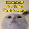 tem umas 100 abas abertas na minha mente