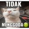 Kucing sigma 6