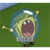bacott