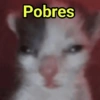 GATINHOS SHITPOST  7