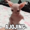 AJOJING