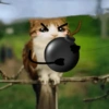 Meowl Michi cute 🥺🩷✨ 26