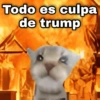 Guerra mundial💣💥 memes🔥 21
