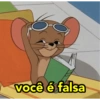 você é falsa