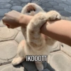 IKOOOTT