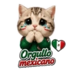Vamos México ⚽✨🇲🇽 6