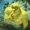 Memes Shrek 💚 10
