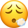 IPhone emoji  19