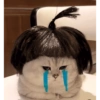 Gatas fofinha de perucas  10