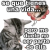 se que tienes una vida... geysioy pero me duele no ser parte ⚫de ella