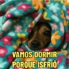 VAMOS DORMIR PORQUE ISFRIO