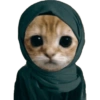 Kucing lucu cat cute 13