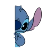 Stitch 28