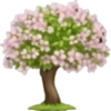 Spring emoji iPhone🌺 5