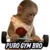 PURO GYM BRO