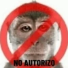 🐵•Monitos•🐵 14