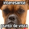 Perritos enojados 😡 🐶 14