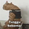 Tunggu Sebentar