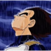DRAGON BALL Z MEMES  10