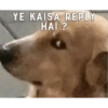 Hindi new meme 5