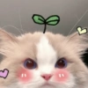 🤗💞 Gatos Tiernos 💞🤗 10