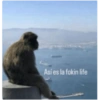 Mono 9