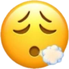 Emoji iphoneee 10