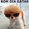 Bom dia, tarde e noite  5