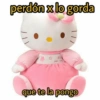 perdón x lo gorda D que te la pongo