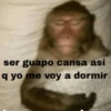 😎 STICKERS SHITPOST 19 🤙 8