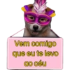 Placas de carnaval quente🔥🔥 13