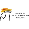 Eu estou isso aqui pra organizar uma festa junina