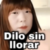 Dilo sin llorar