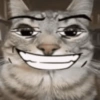 🐱🐈 GATITOS 🐈🐱 10
