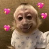 MACAQUINHO FOFO ❤️ 7