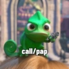 Pascal 14