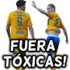 TECATE AFIRME 9 N.IBANEZ H-E-B FUERA TÓXICAS!