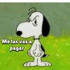 Snoopy 🦴🐾 13