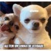 Pedroca2 30