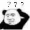 Panda douyin meme 14