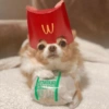 Mix perritos sin palabras  21