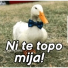 Ni te topo carols.zdio mija!