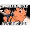 CHAO BOLA DE IMBECILES ME VOY A MASTURBAR