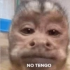 🐵•Monitos•🐵 6