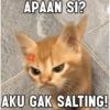 APAAN SI? AKU GAK SALTING!